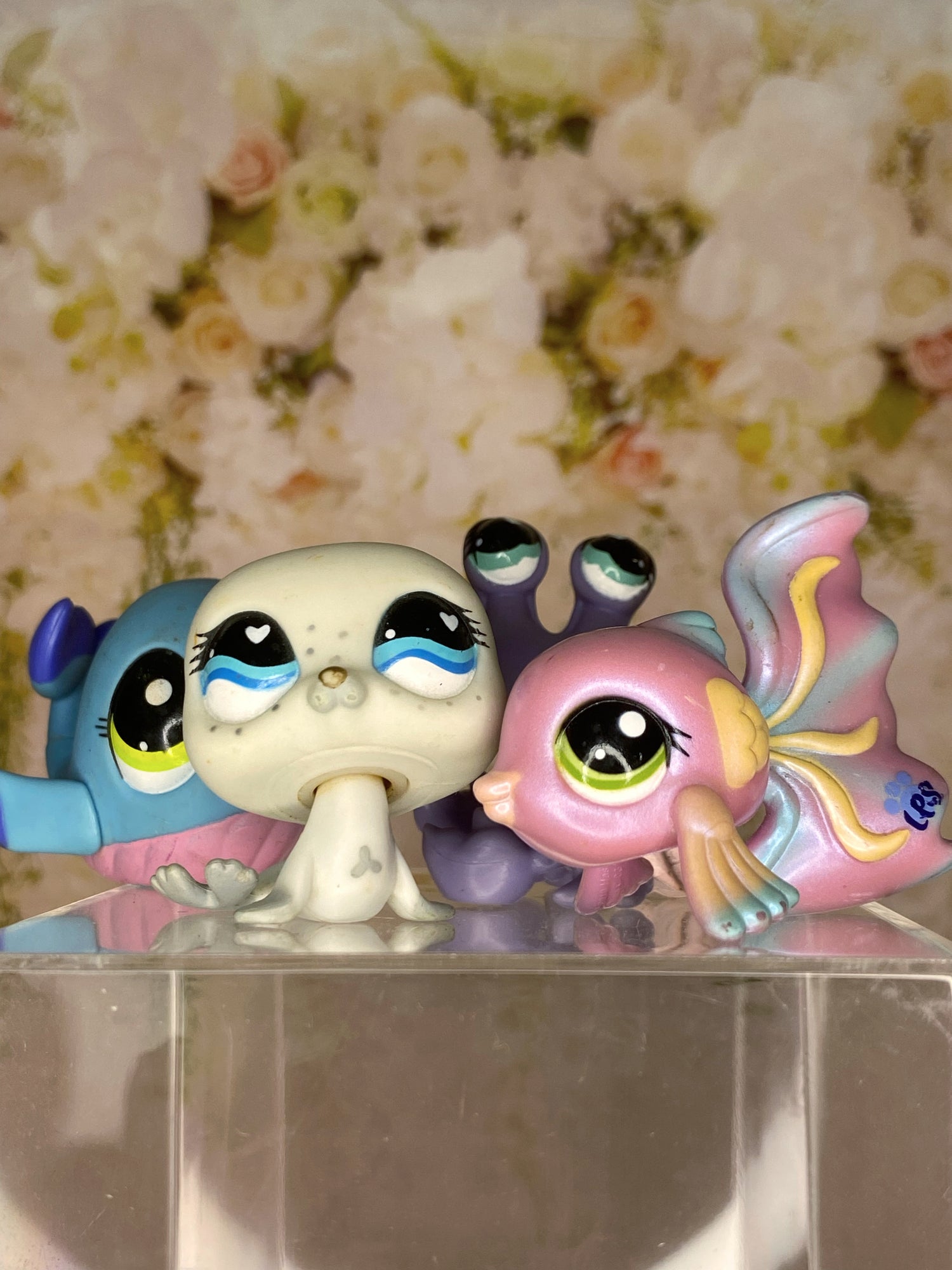 Aquatic animals 🦭