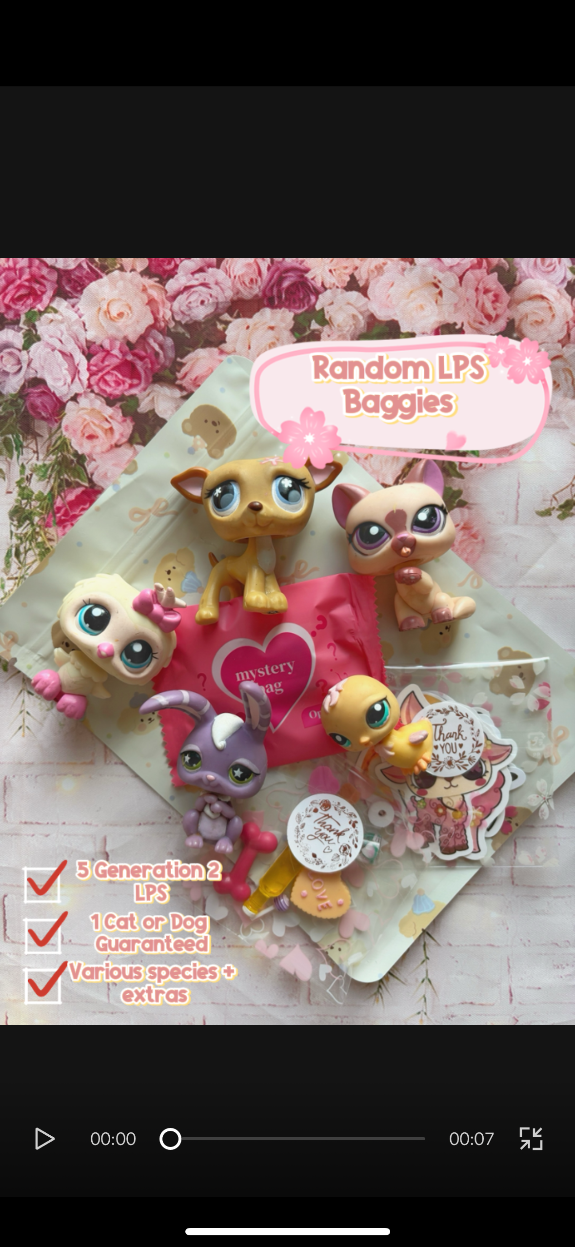 Random LPS Baggies 🐶🌸