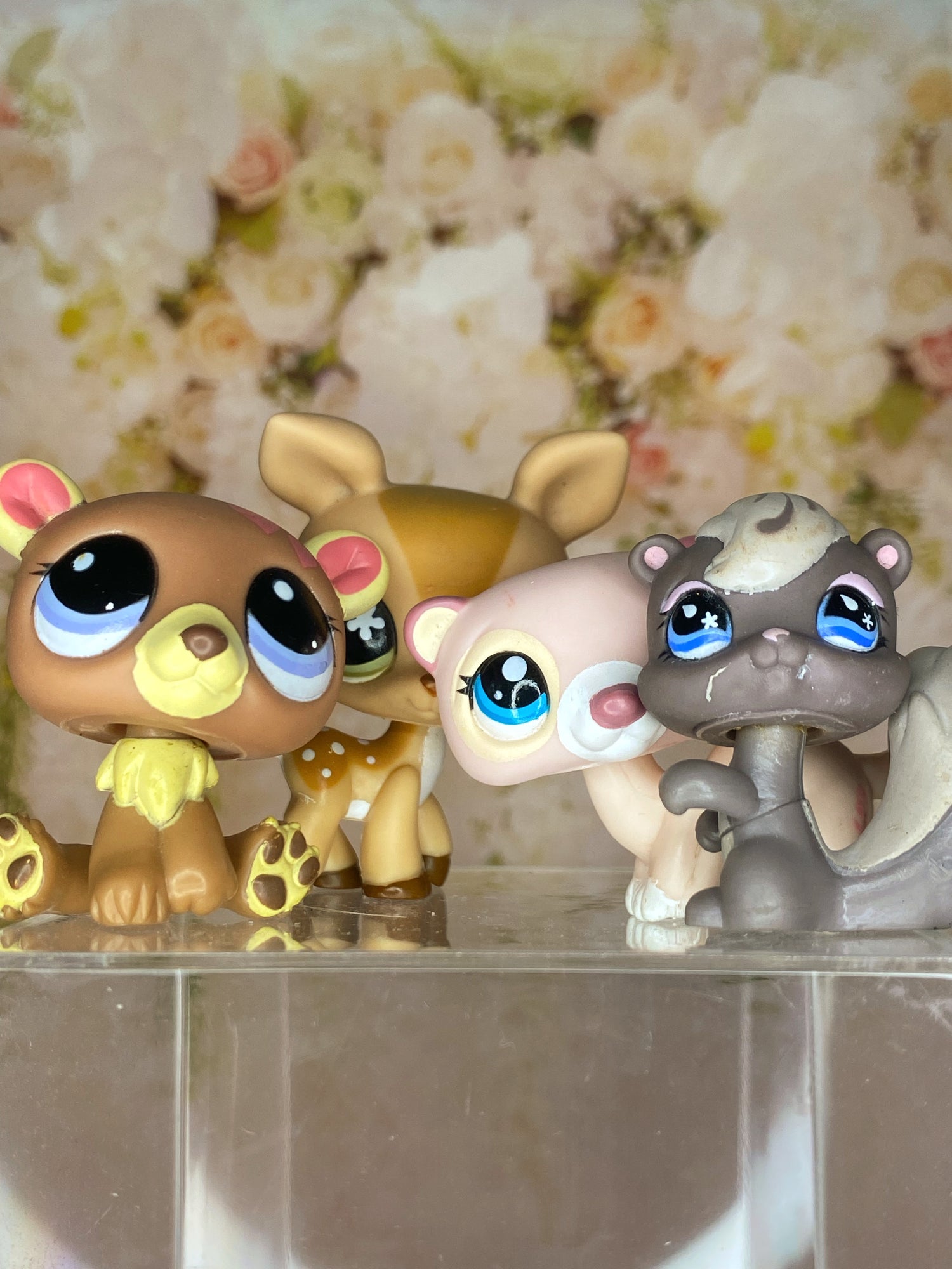 Forest animals 🐿️