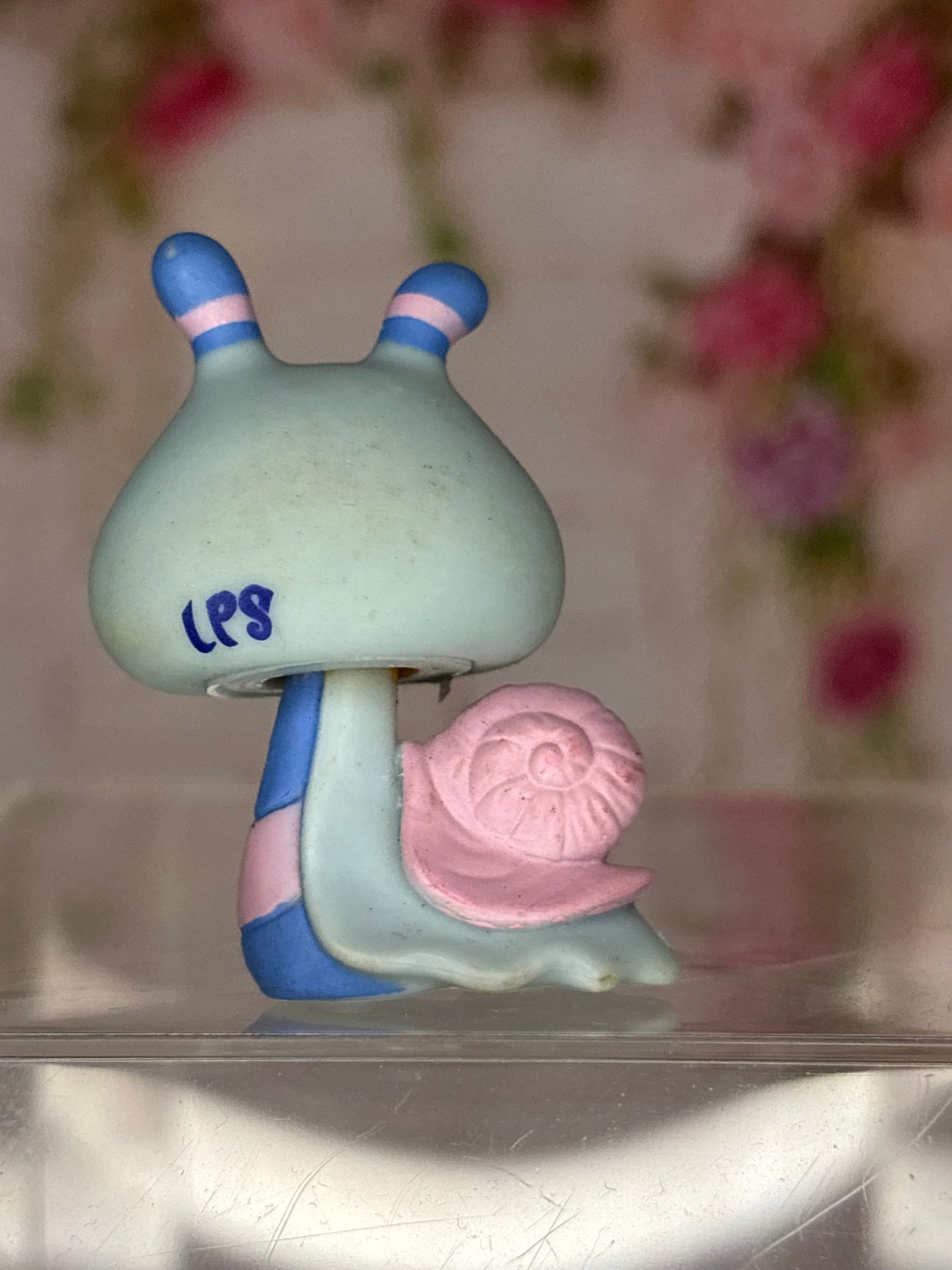LPS Snail