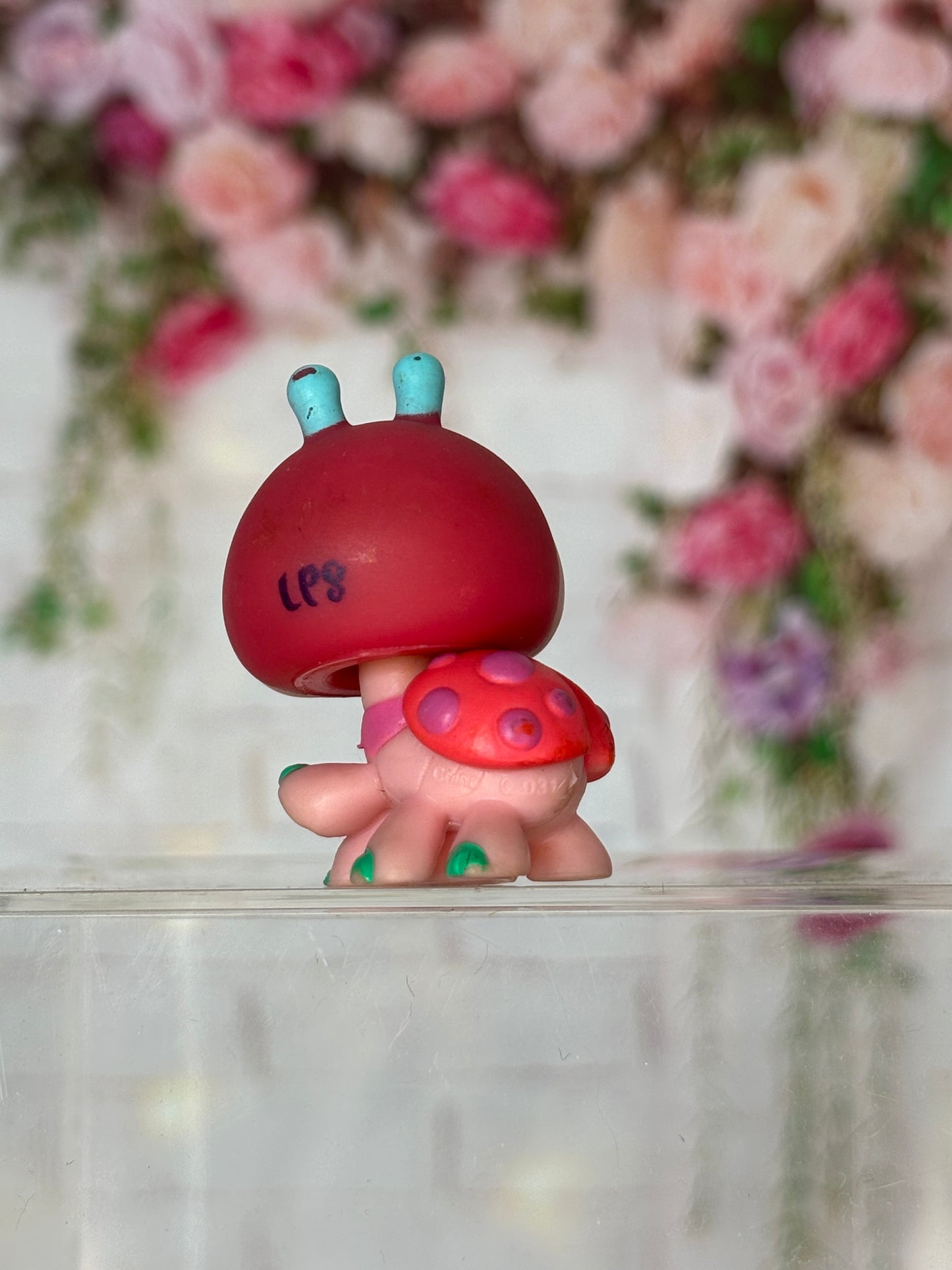 LPS Ladybug #1143