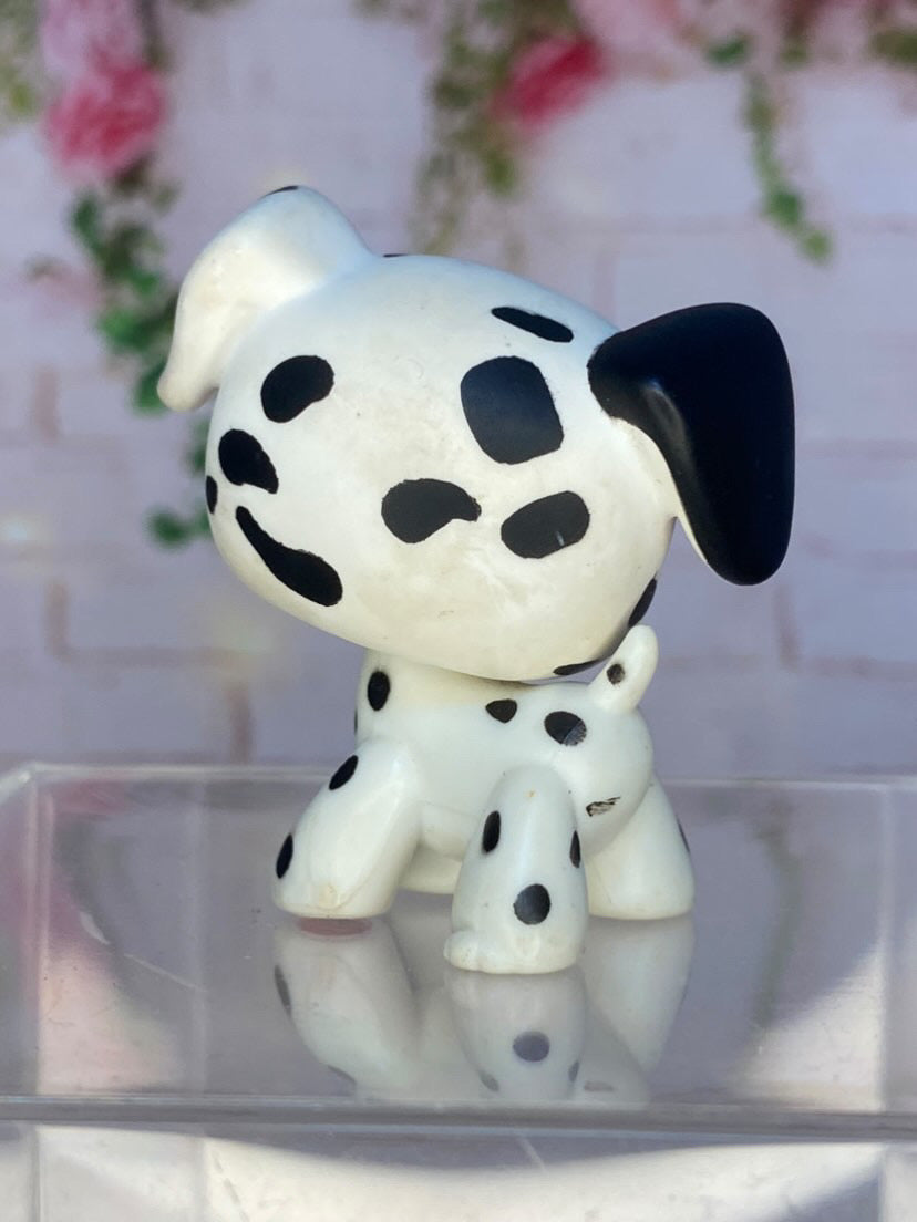 LPS Dalmatien #44