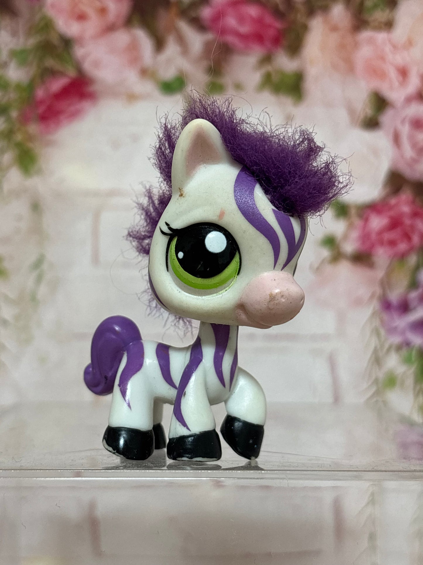 LPS Fuzzy Zebra