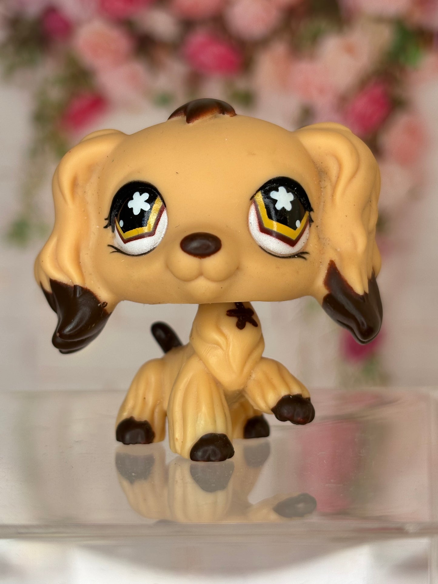 LPS Cocker Spaniel #575