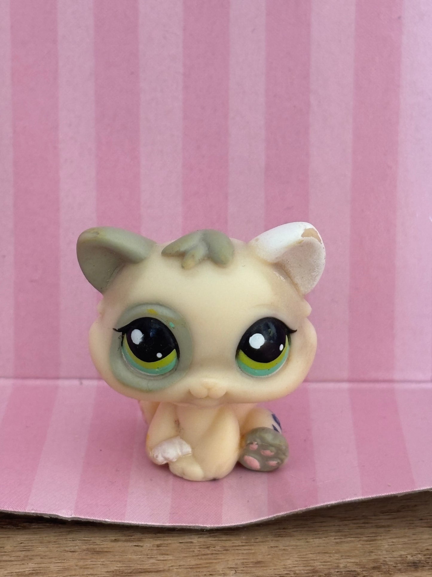 LPS Kitten #1074