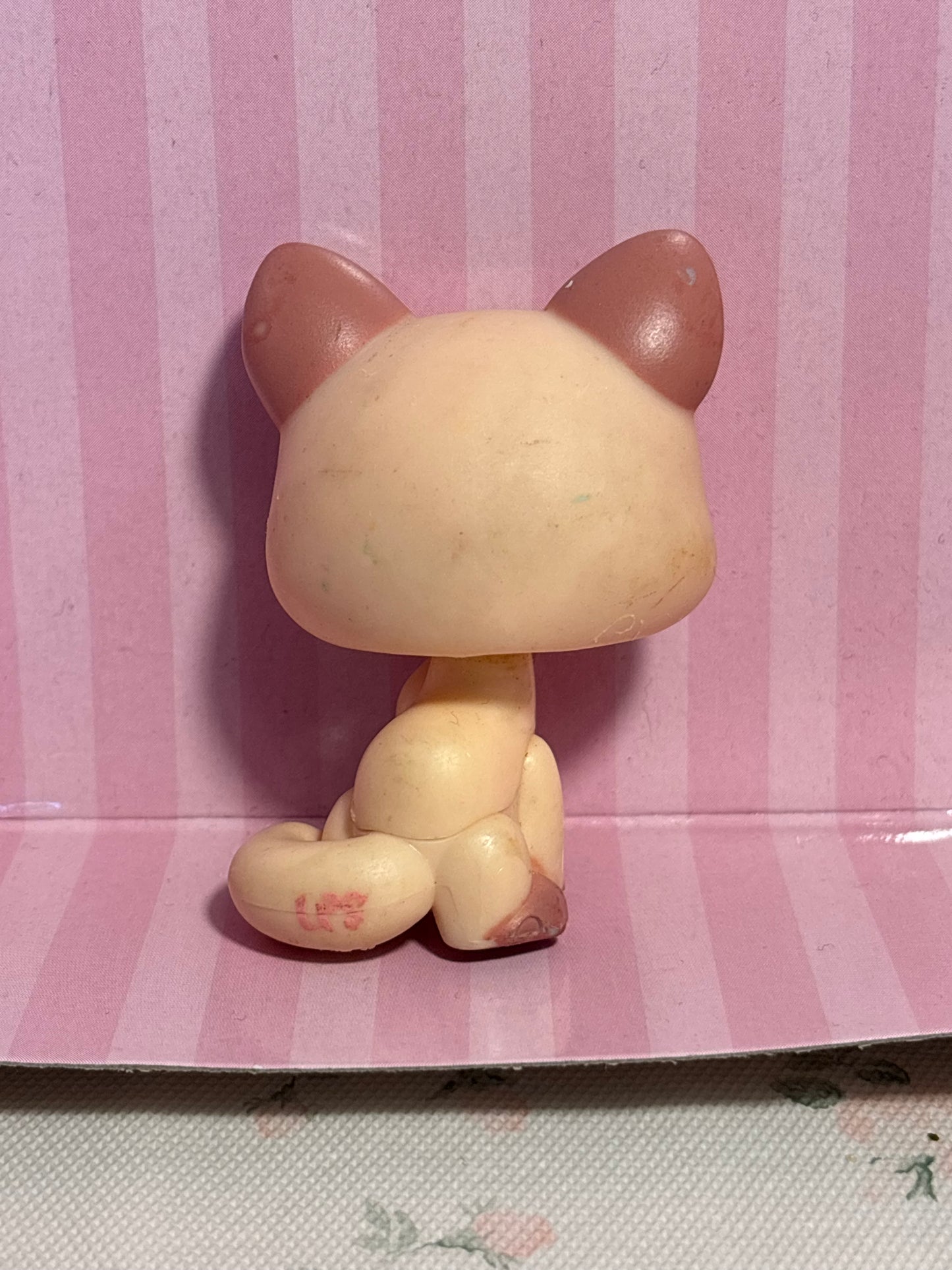 LPS Paw Licking Cat #1626