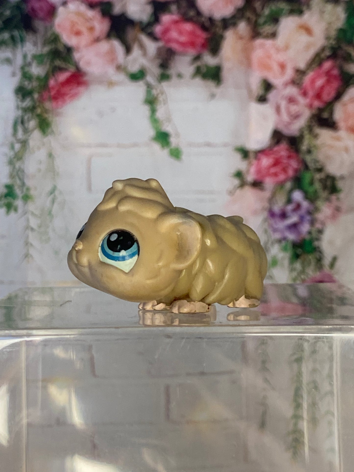 LPS Hamster
