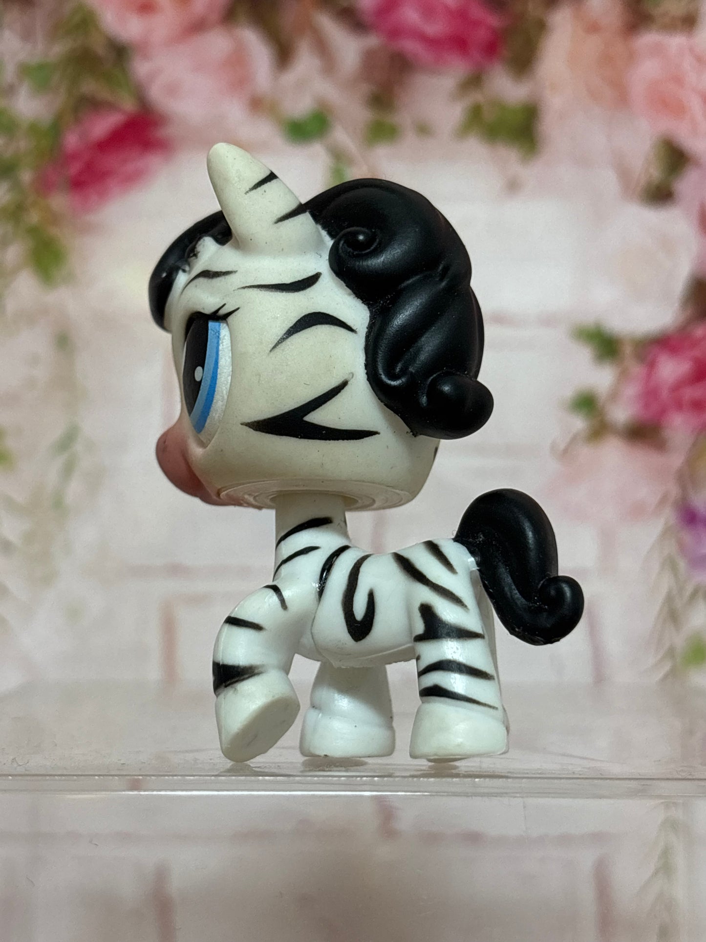 LPS Zebra