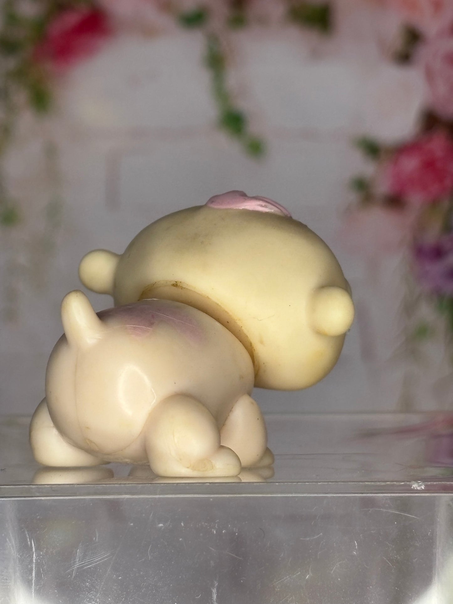 LPS Guinea Pig #1057