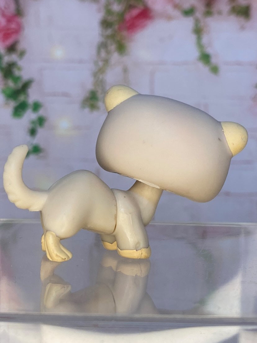 LPS Ferret #957