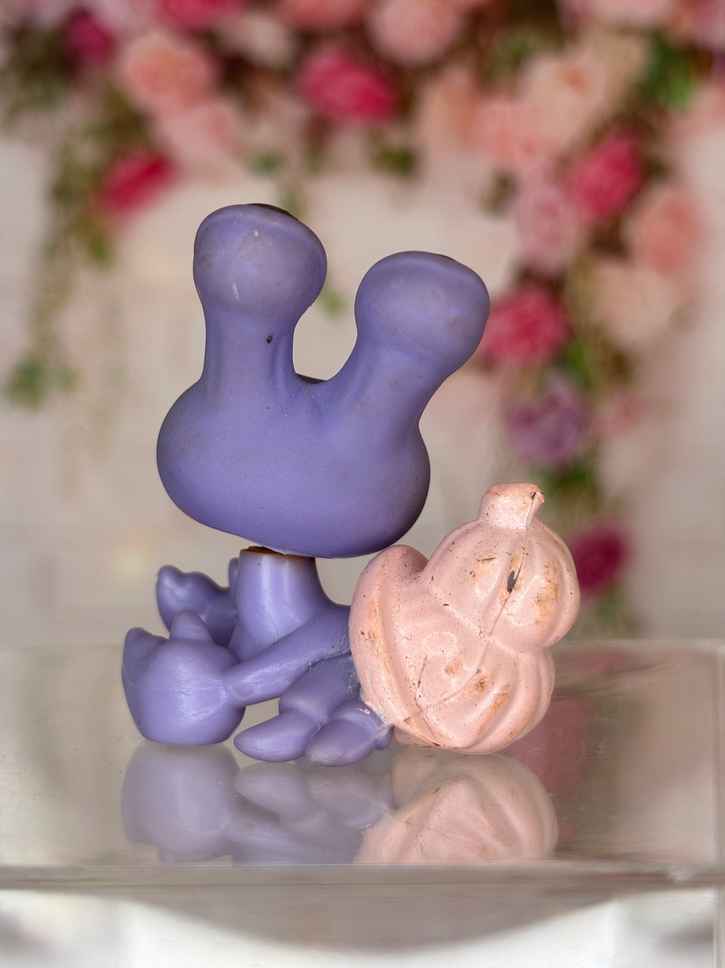 LPS Hermit Crab #554