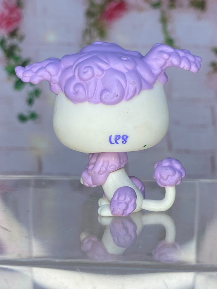 LPS Poodle #1862