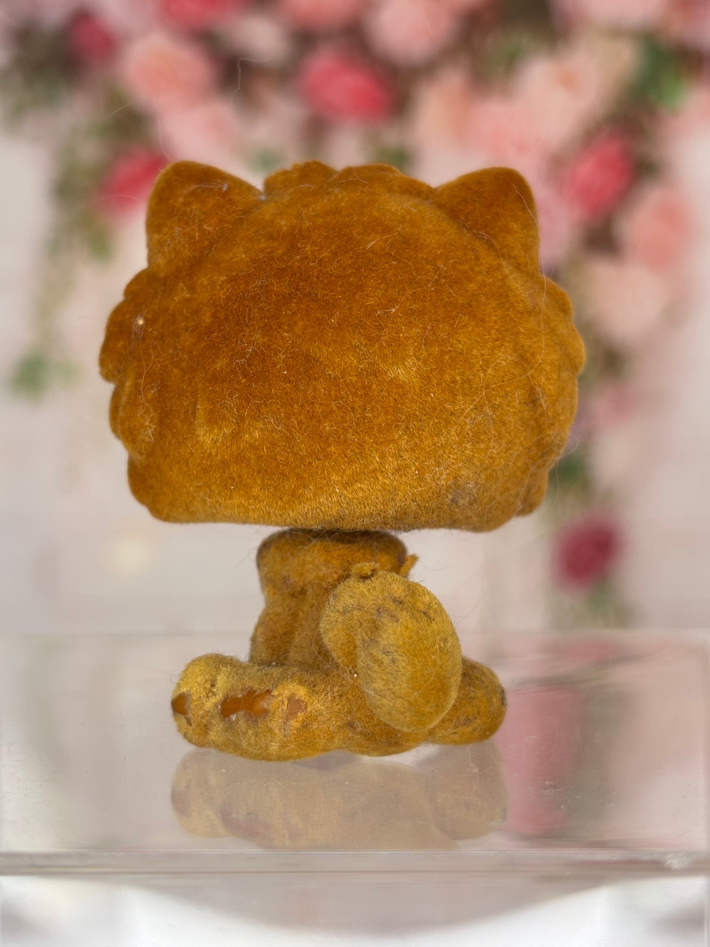 LPS Fuzzy Chow Chow