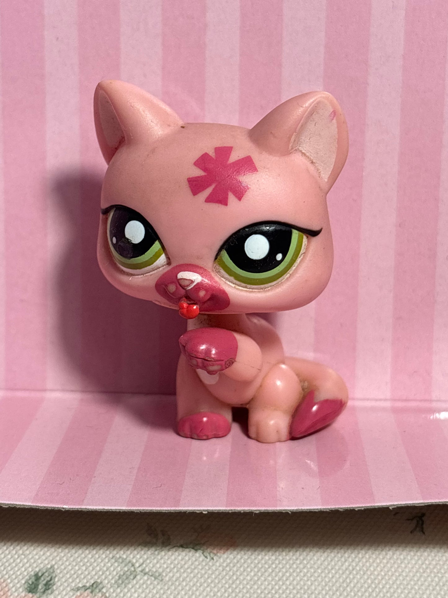 LPS Paw Licking Cat #1846