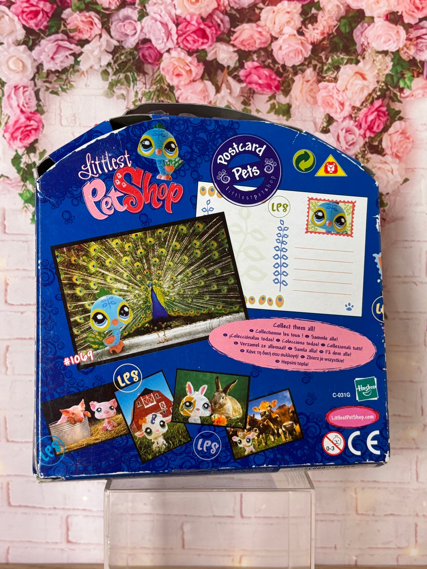 LPS Postcard Peacock #1069 NIB