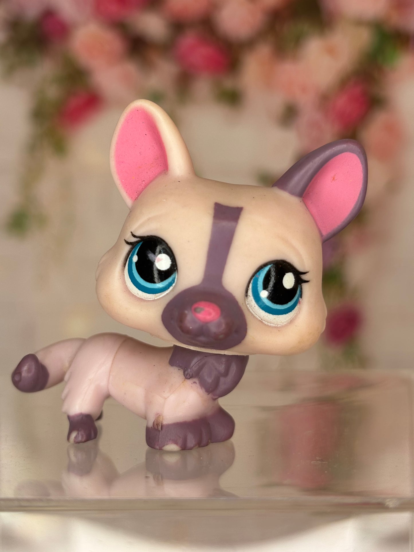 LPS Corgi #1645