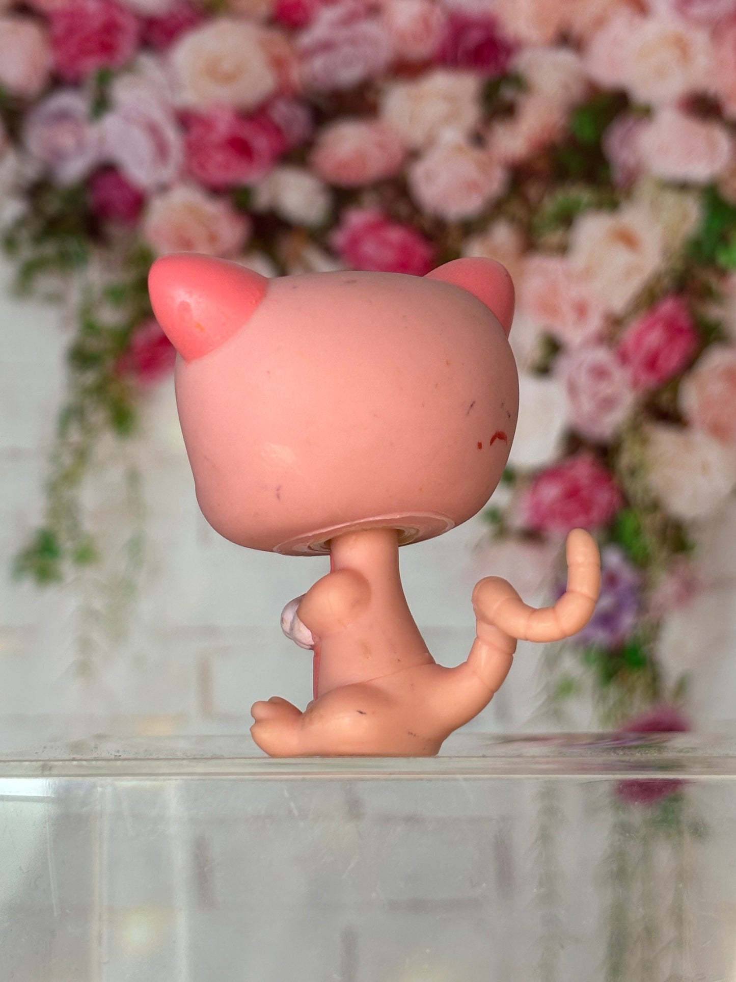 LPS Possum #1625