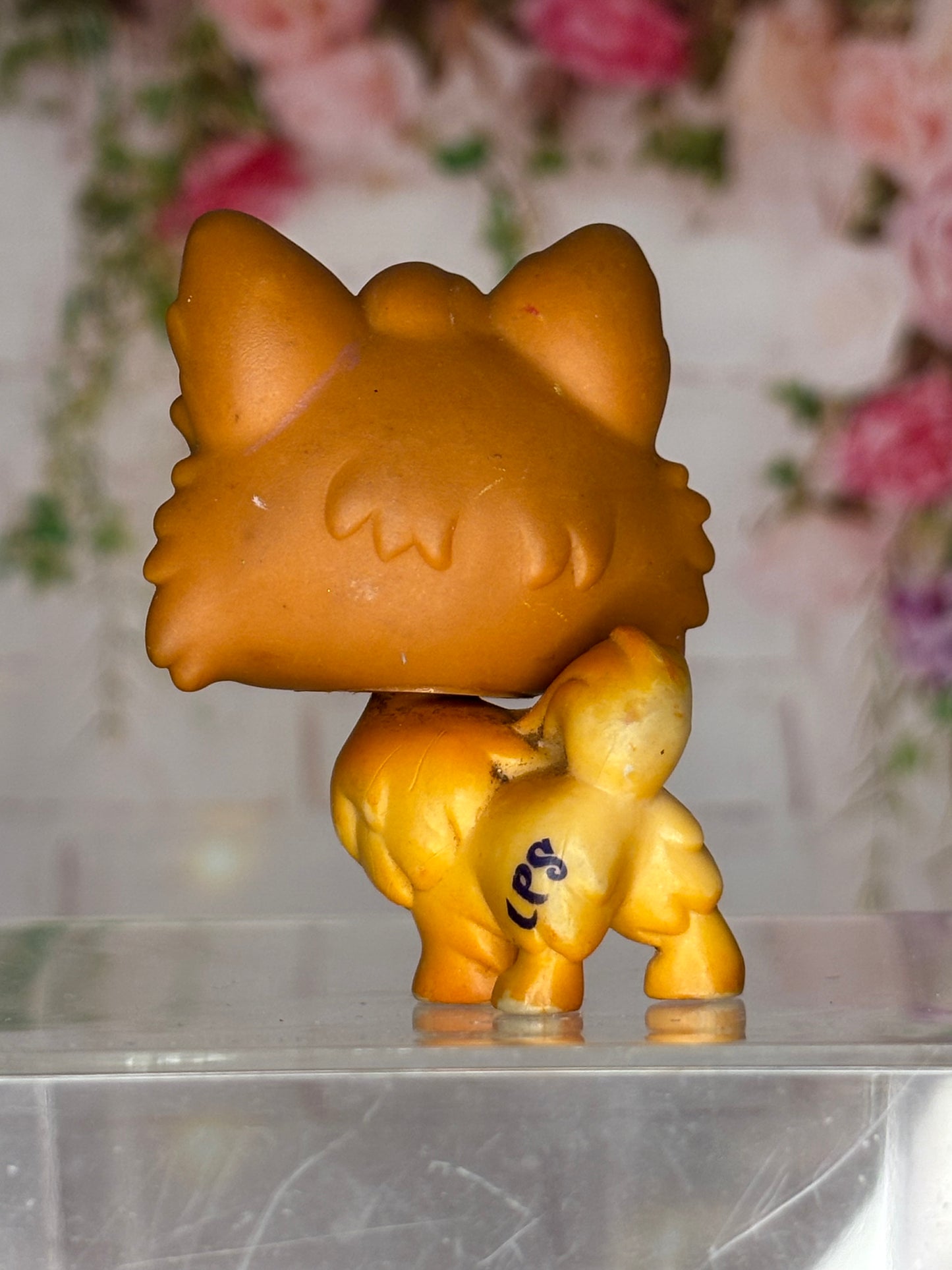 LPS Pomeranian #1317