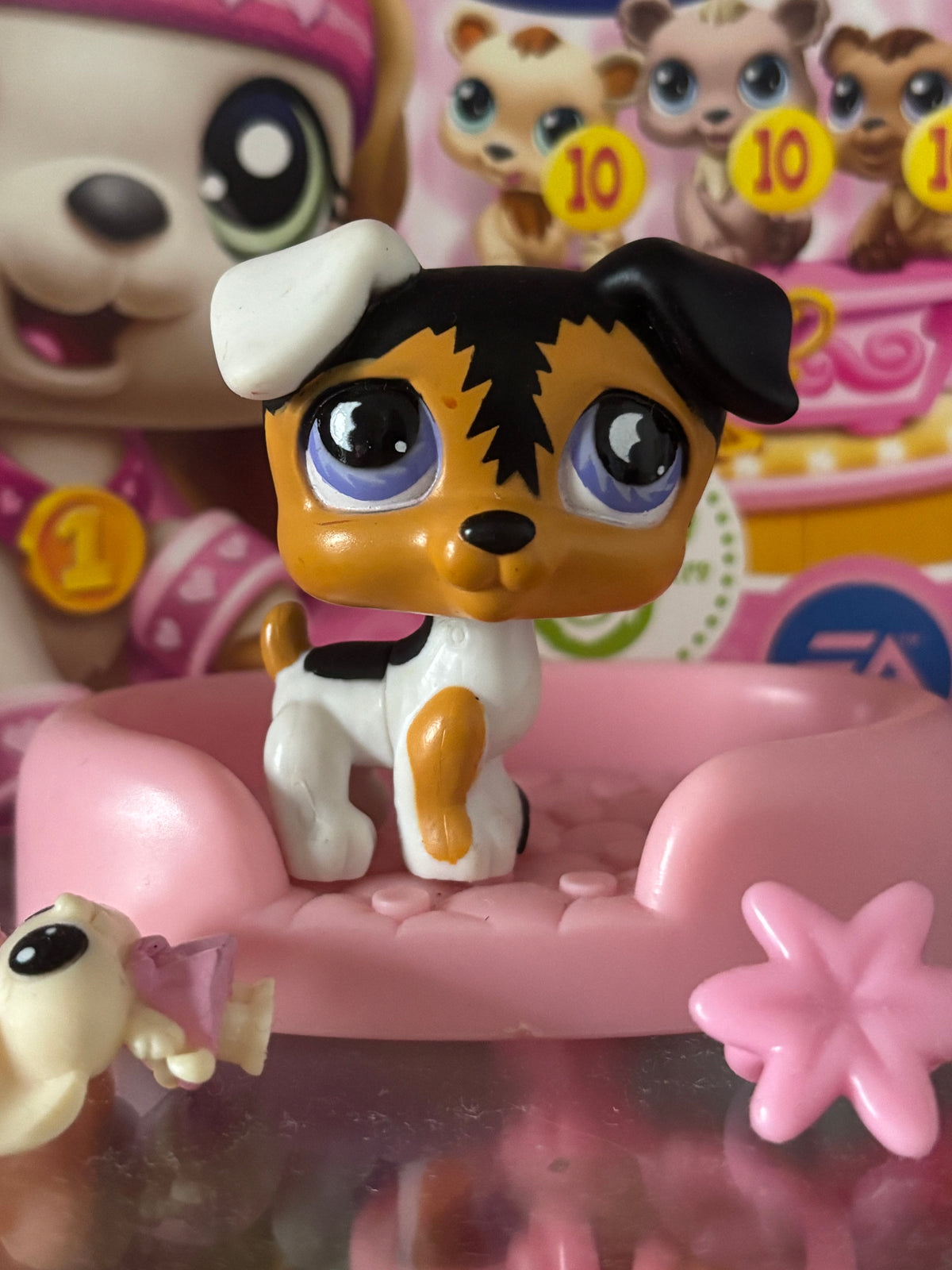 LPS Jack Russel #803