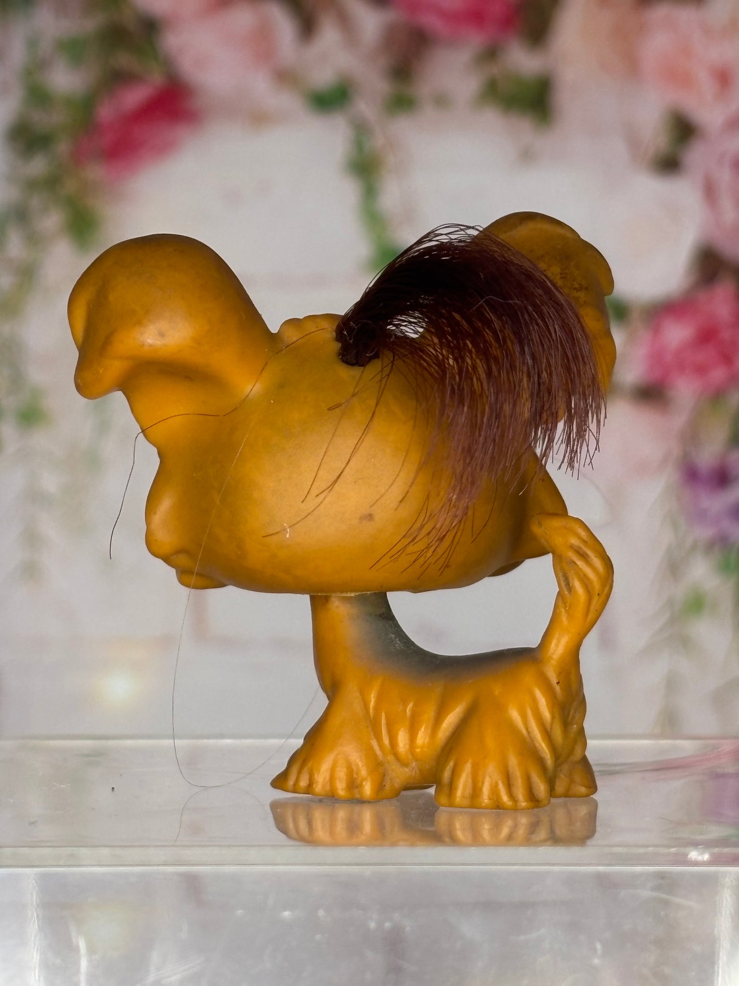 LPS Shi Tzu #6