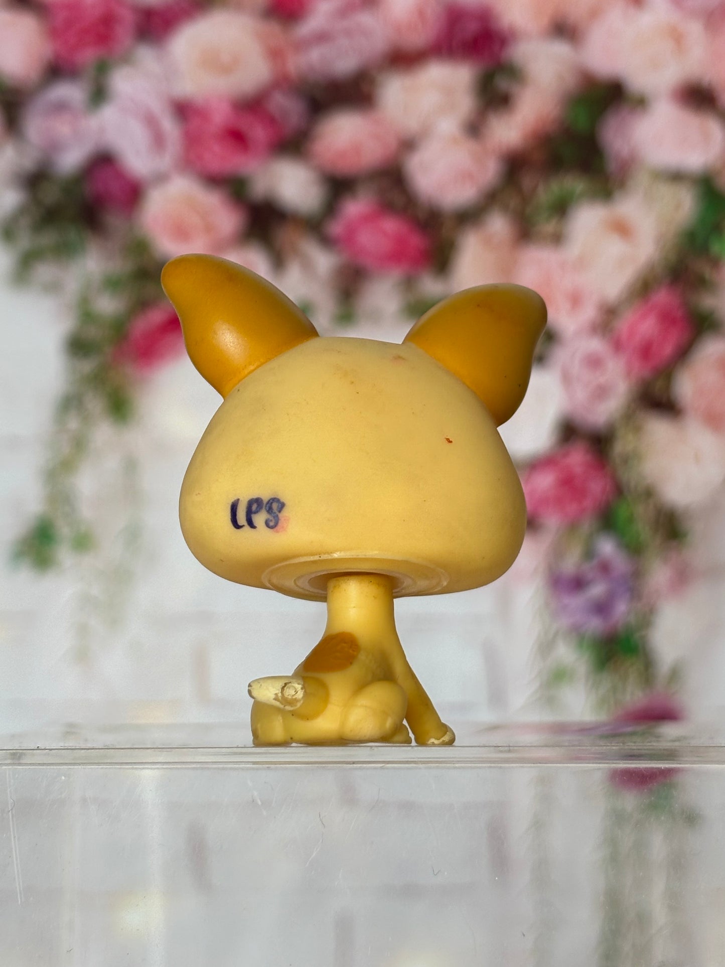 LPS Chihuahua #1656