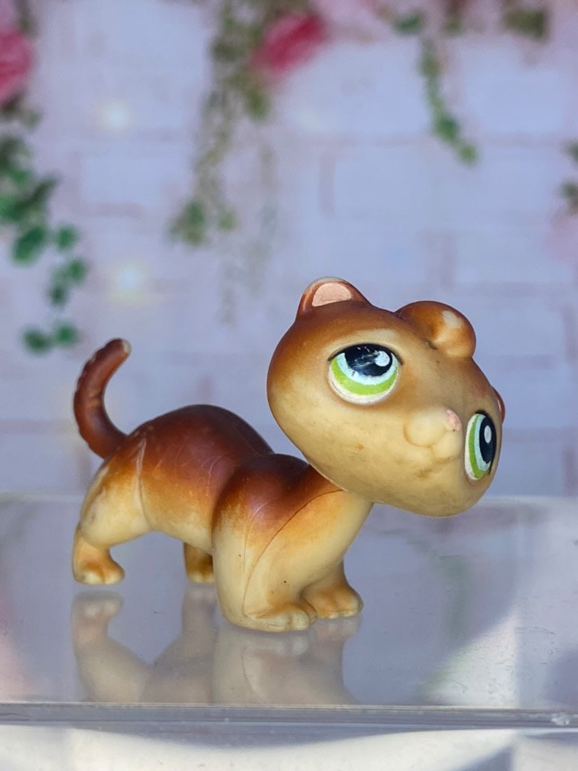 LPS Ferret #289