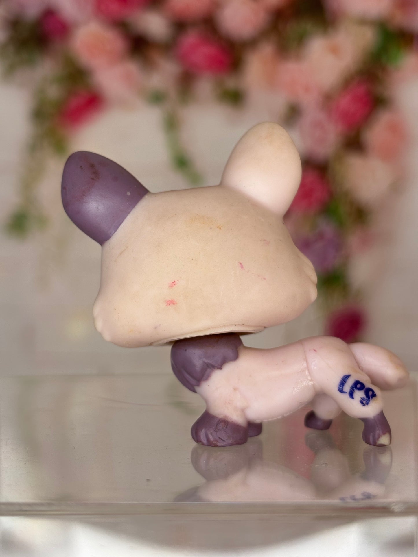 LPS Corgi #1645
