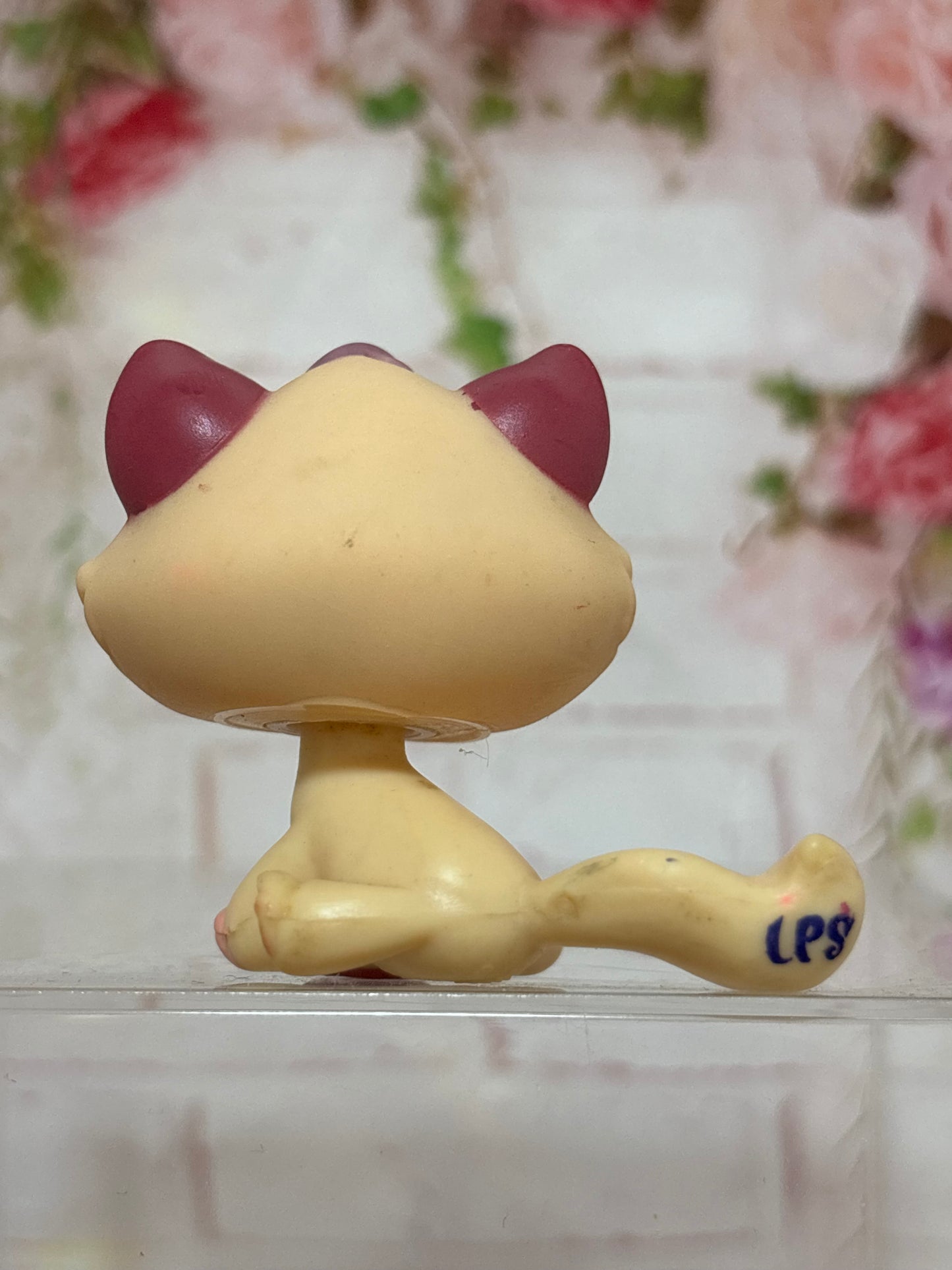 LPS Rare Bon Bon Cat