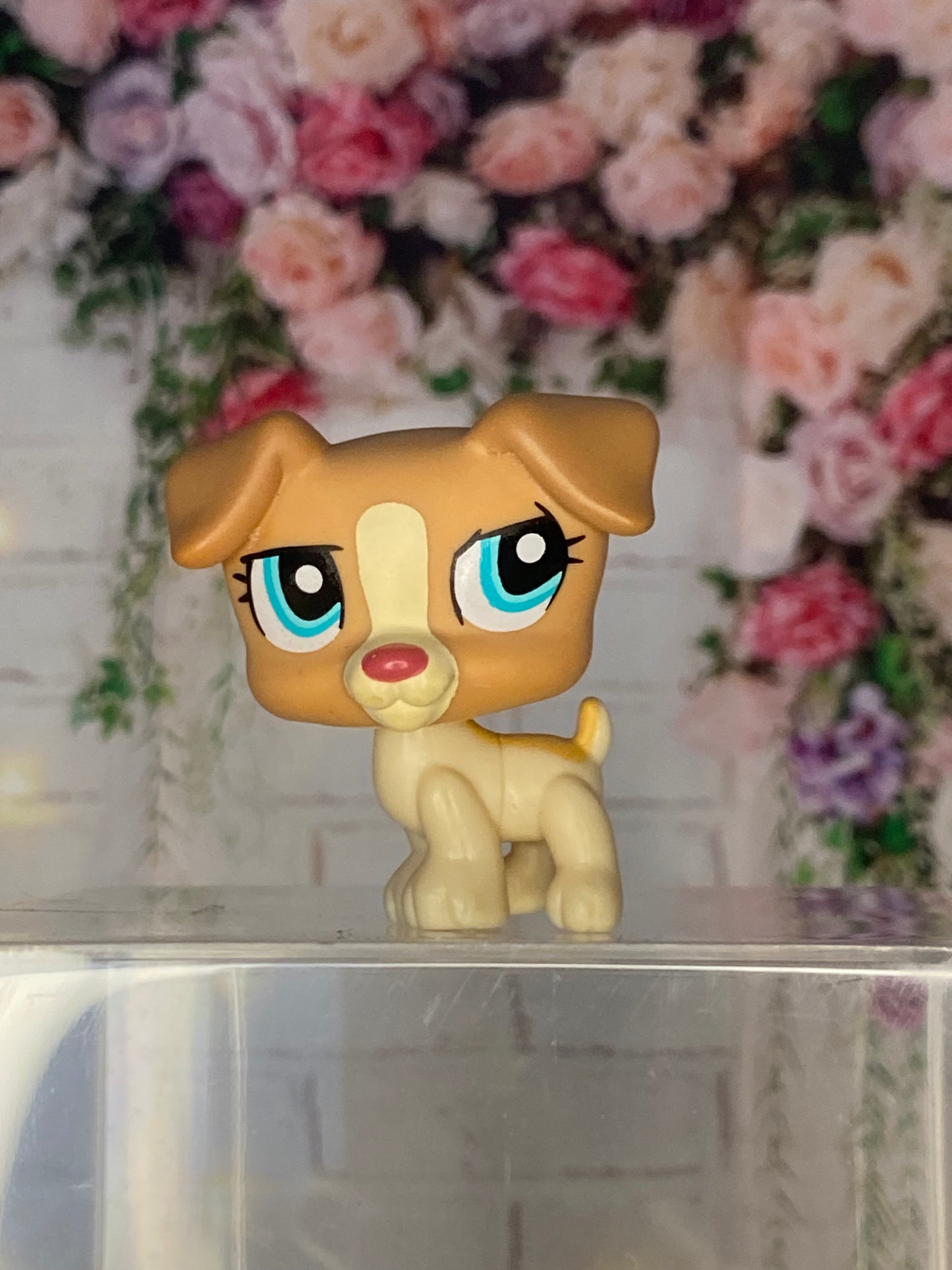 LPS Jack Russel