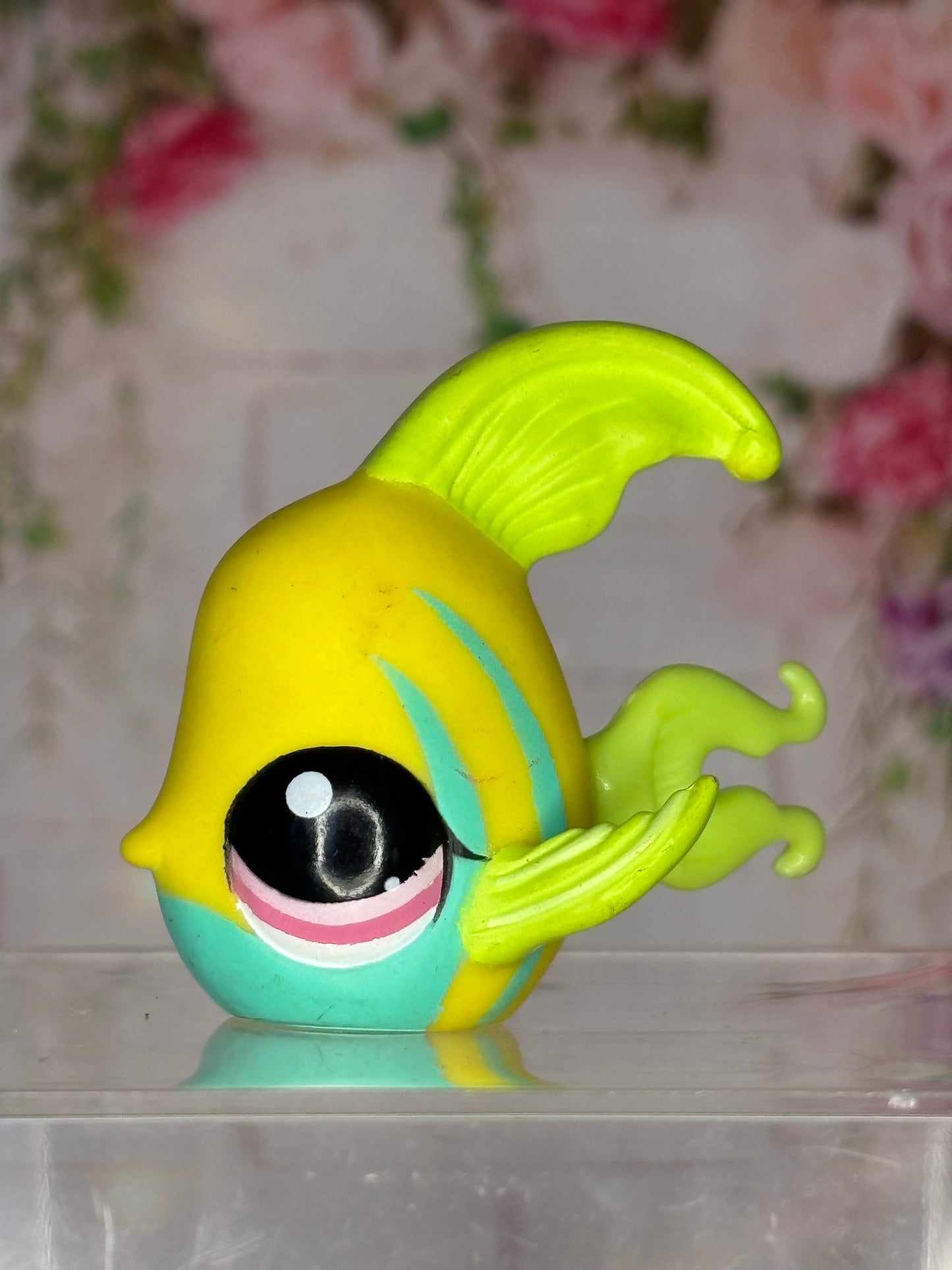 LPS Angelfish #1121