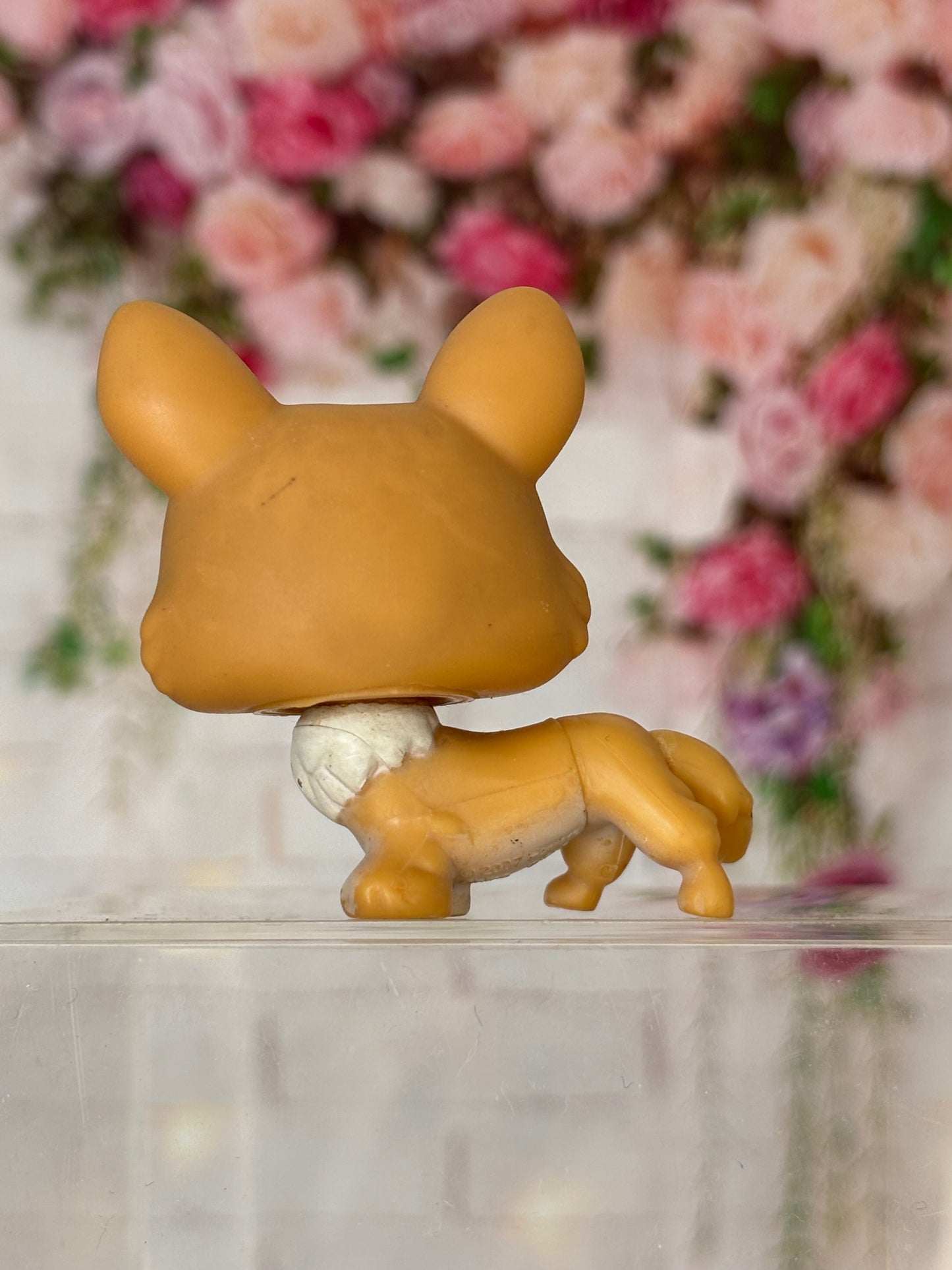 LPS Corgi #183