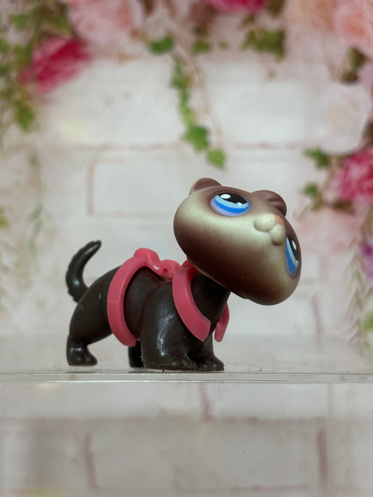 LPS Old Ferret