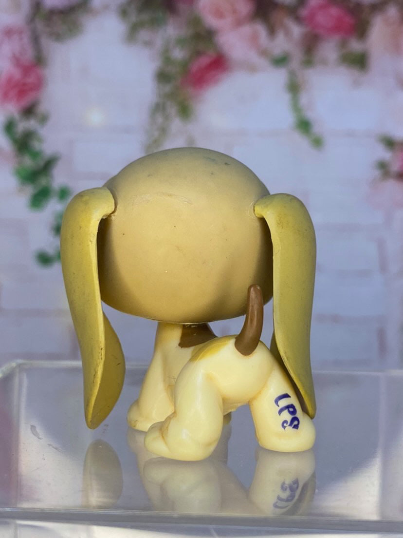 LPS Basset Hound #1465