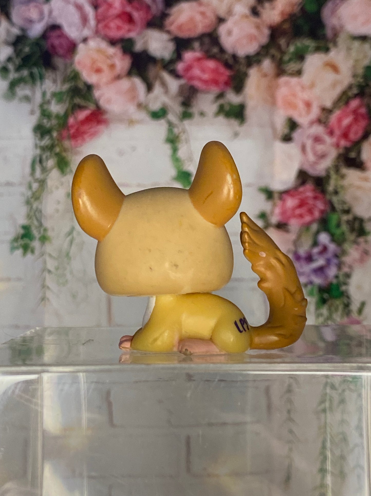LPS Chinchilla