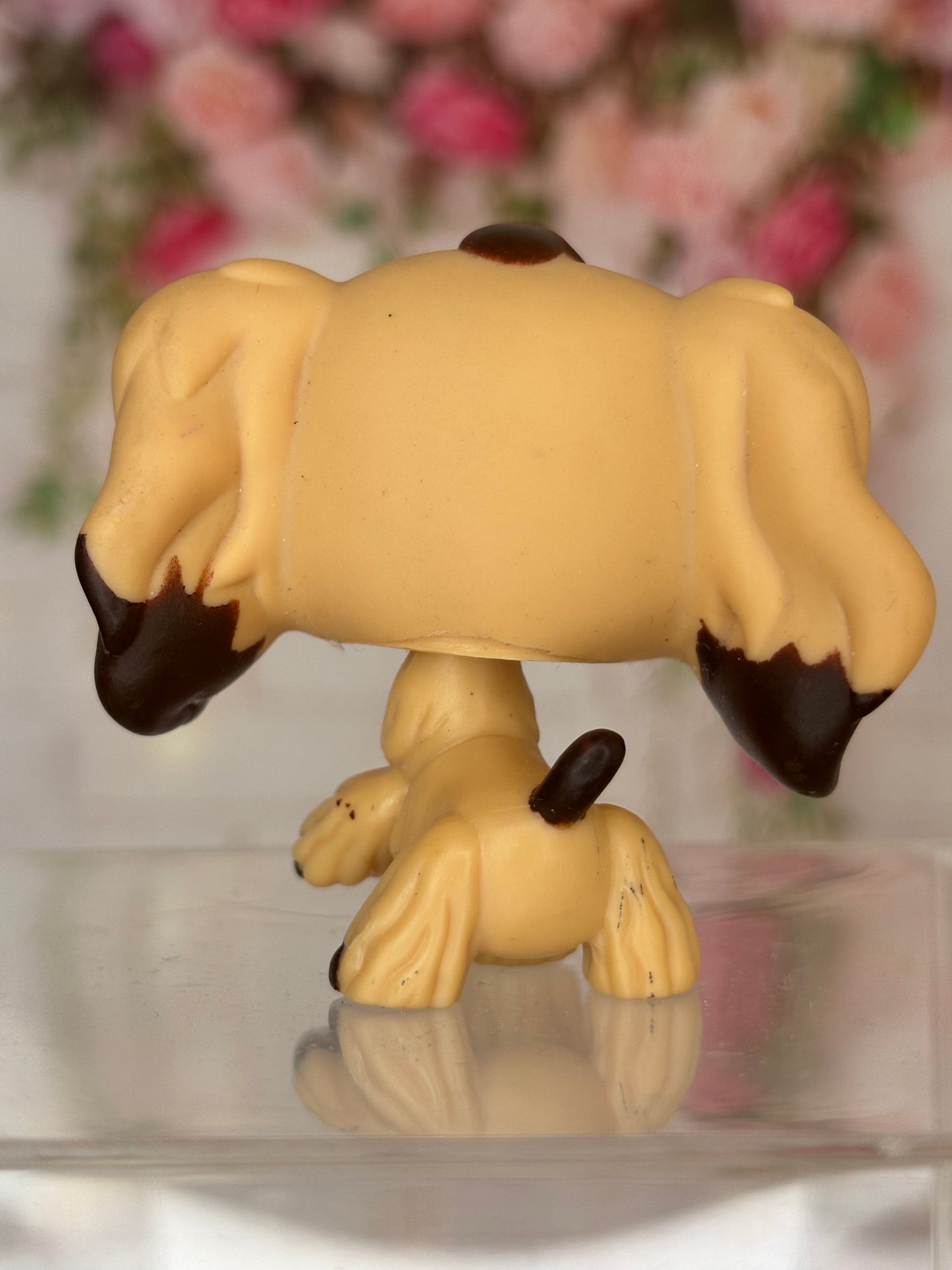 LPS Cocker Spaniel #575
