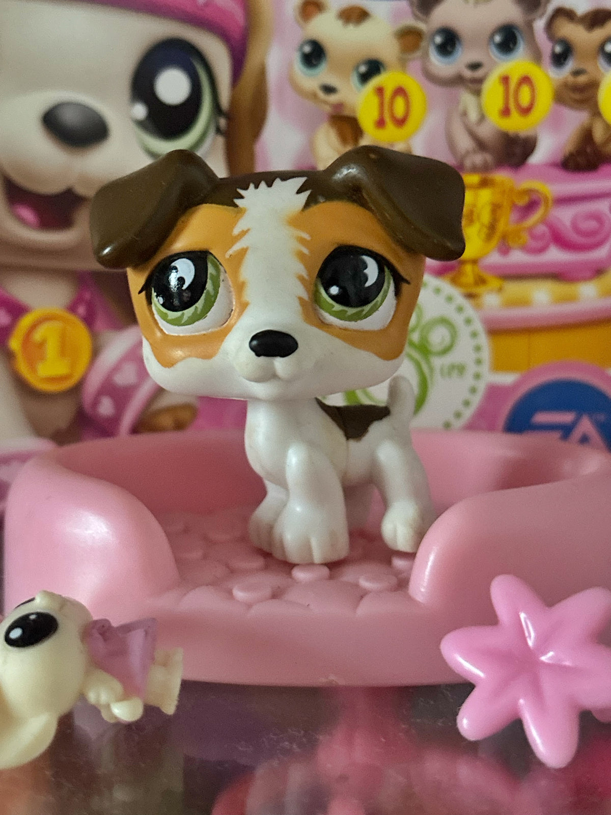 LPS Jack Russel #804