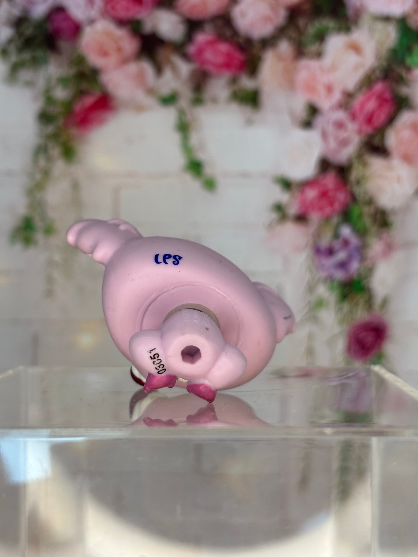 LPS Koala #2064