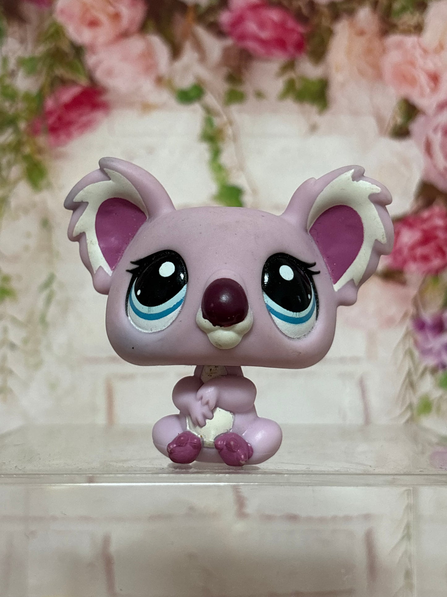 LPS Koala