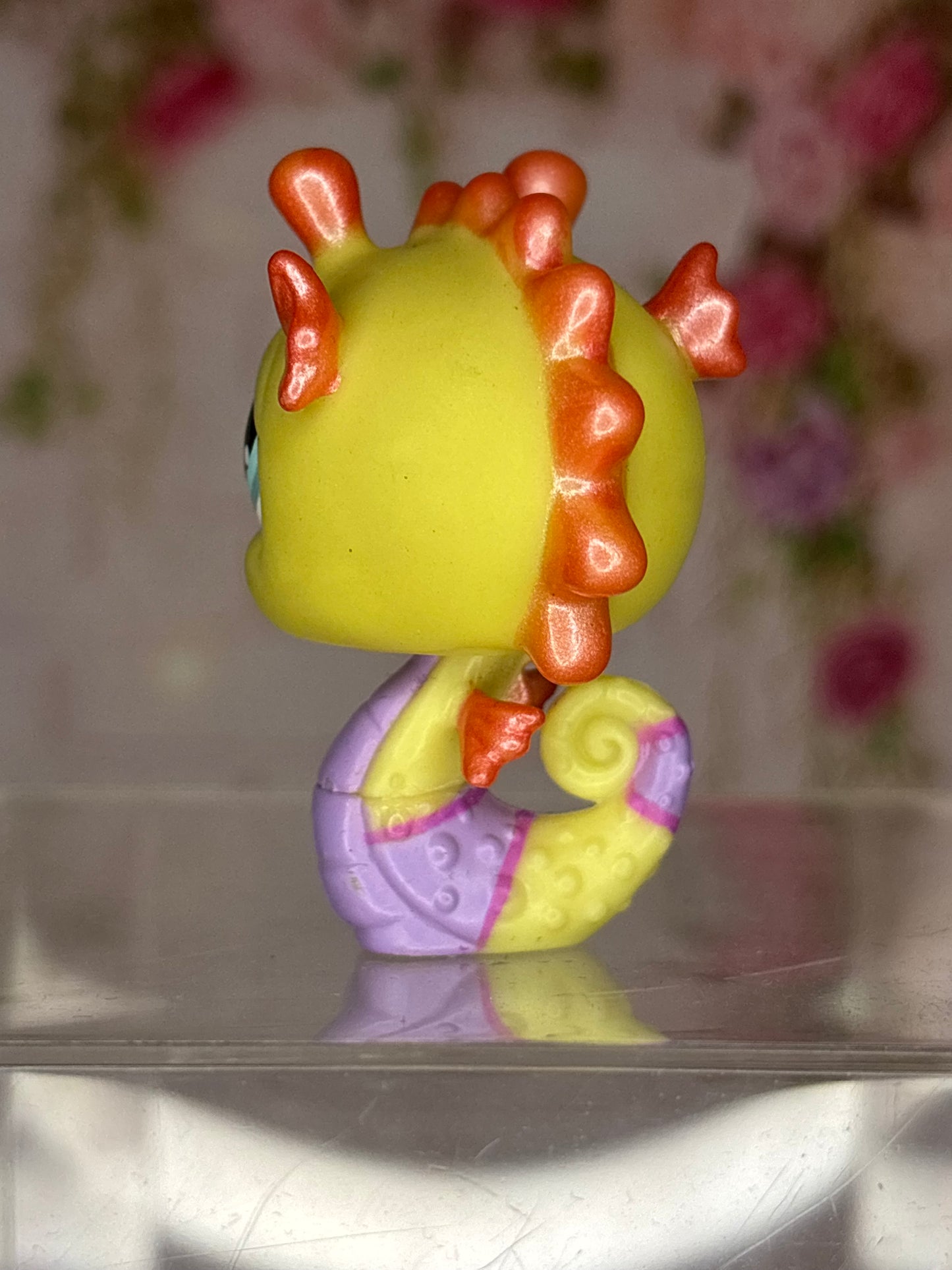 LPS Seahorse
