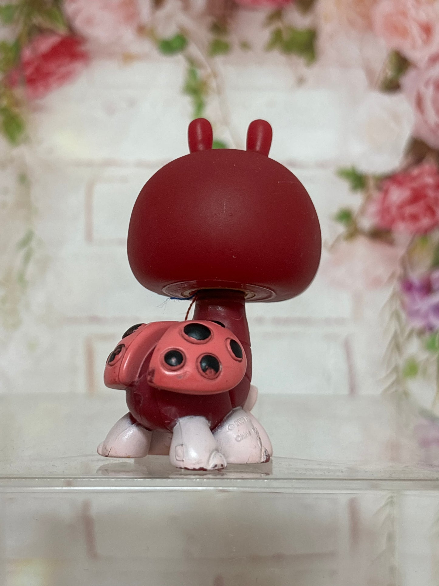 LPS Ladybug