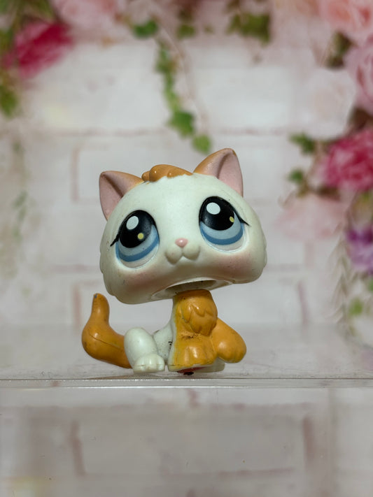 LPS Kitten