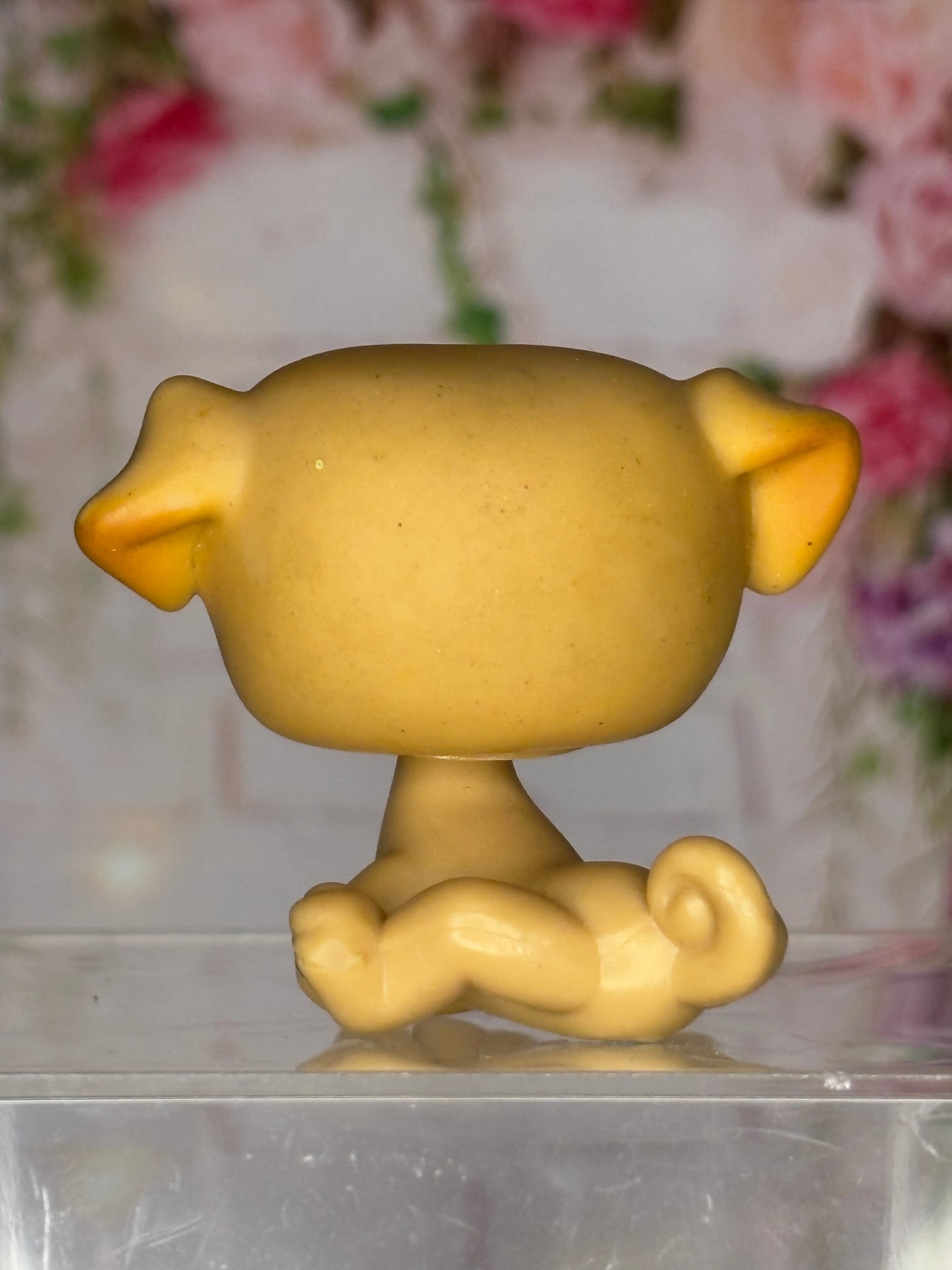 LPS Pug #2