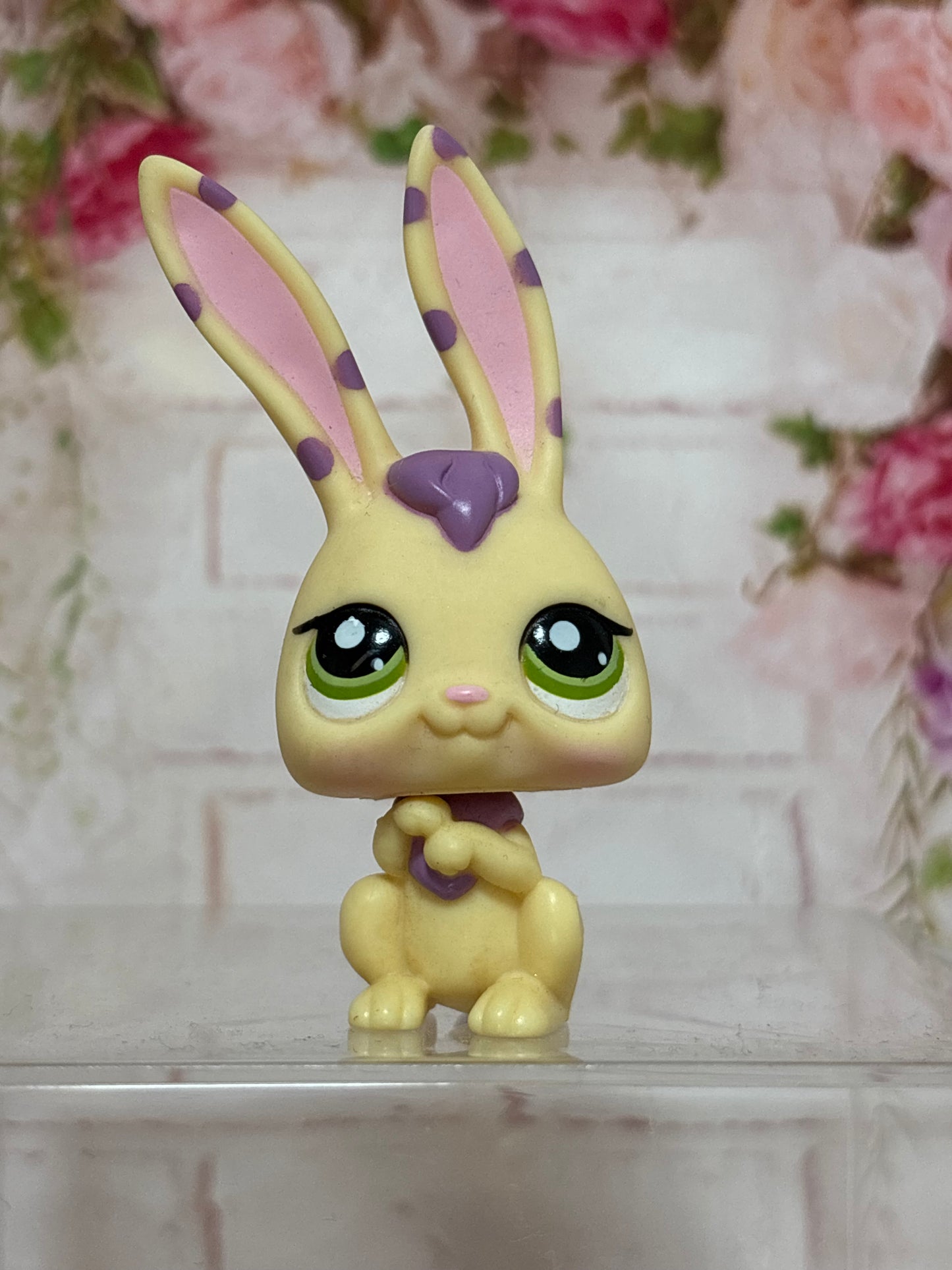 LPS Rare Bunny