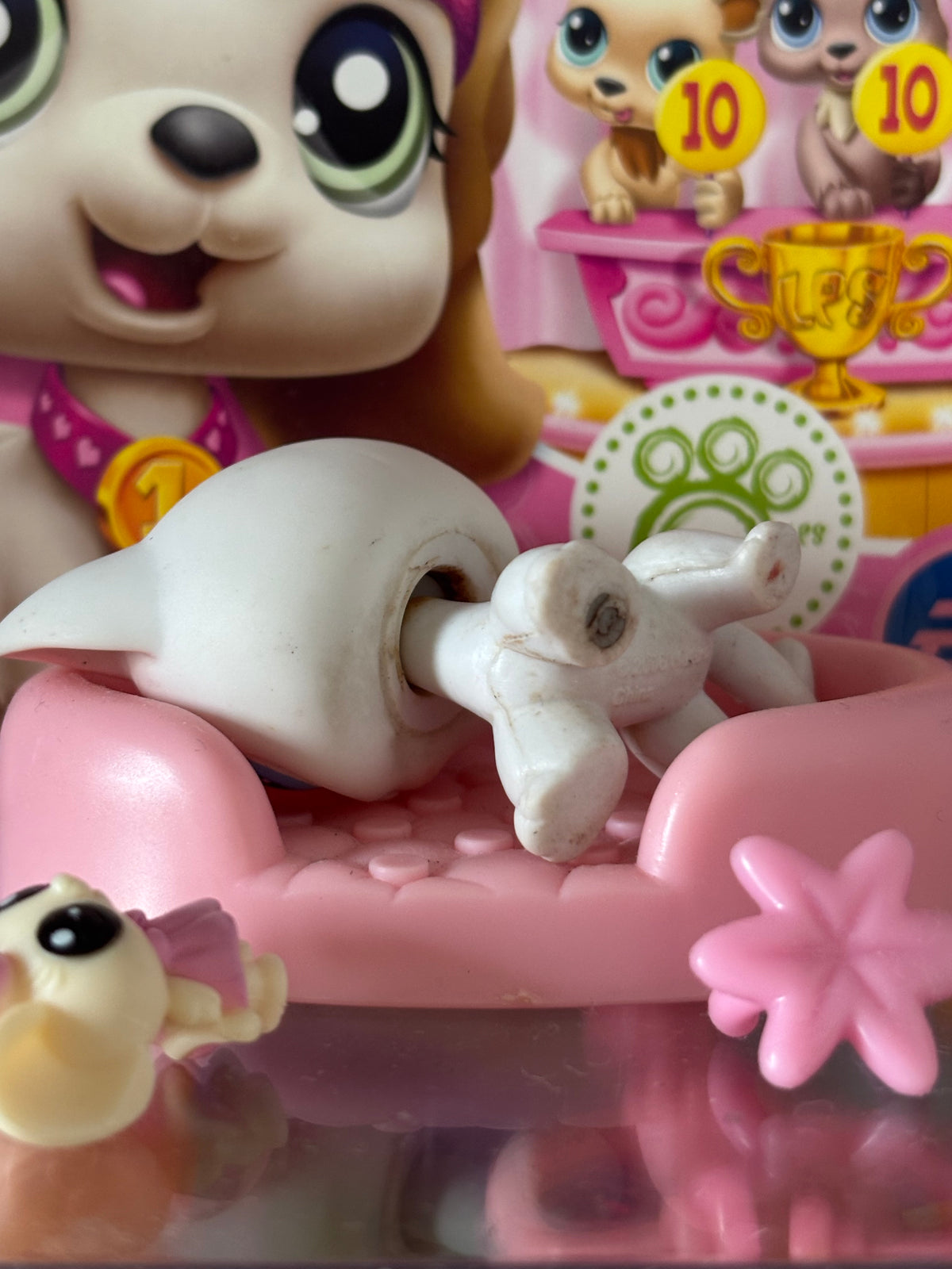 LPS Shorthair Cat #64