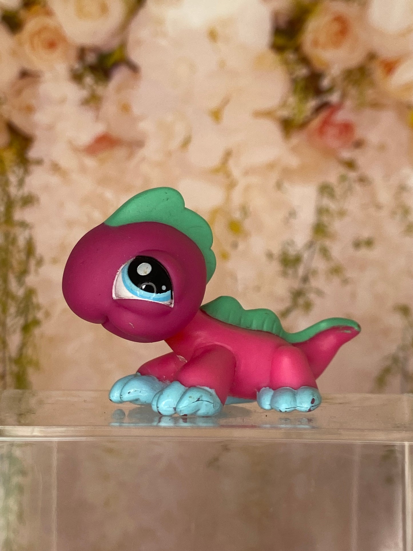 LPS Iguana