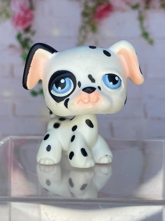 LPS Dalmatien #44