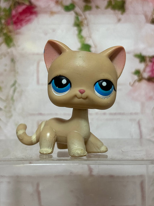 LPS Old Shorthair Cat