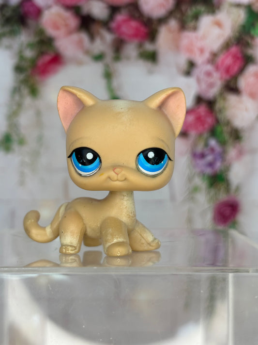 LPS Cat #228