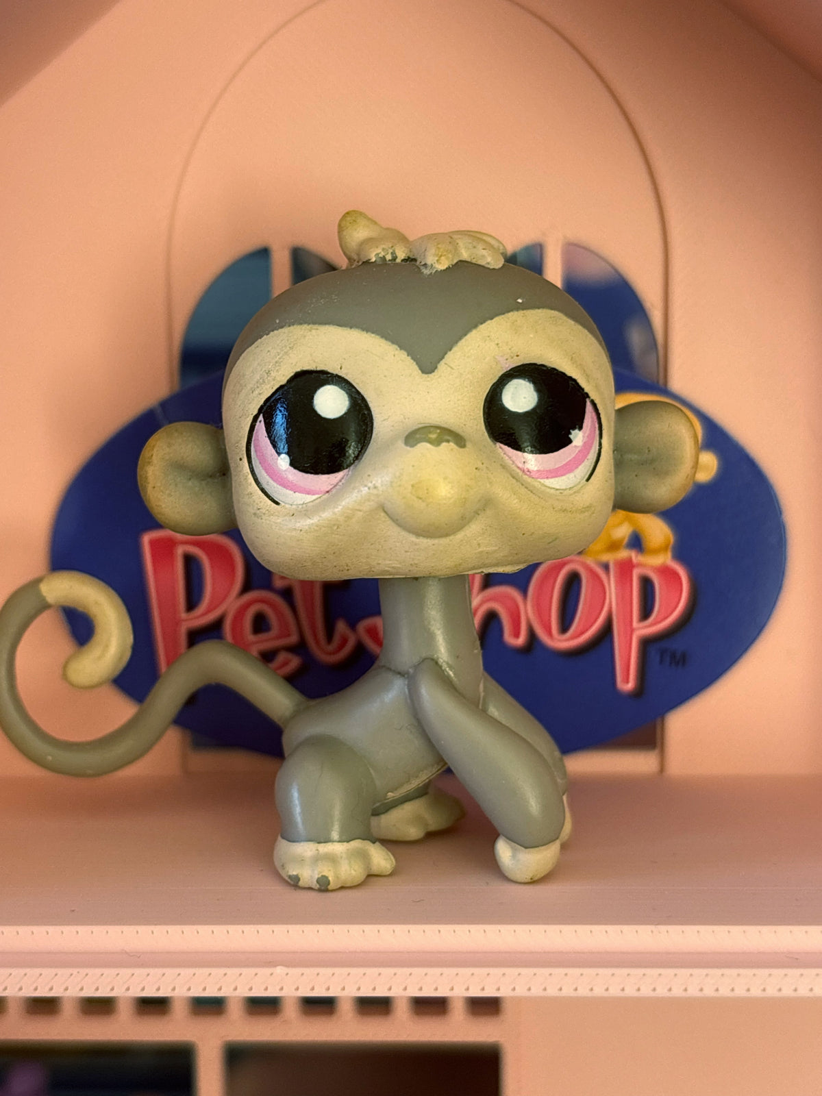 LPS Monkey #1029