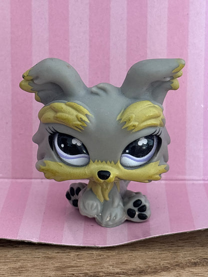 LPS Yorshire #883